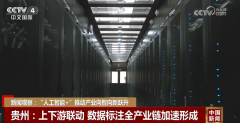 程工业的大模子近日正在杭州正式发布